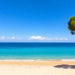 Les plus belles plages à ne pas manquer autour de Nice